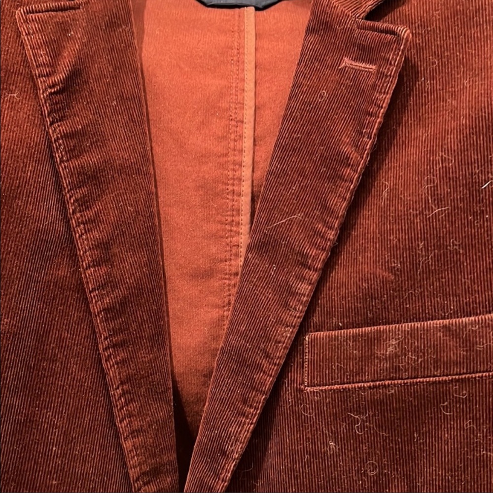 Hugo Boss Velvet Jacket - Picture 2 of 5